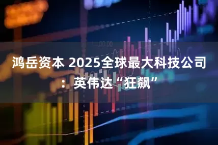 鸿岳资本 2025全球最大科技公司：英伟达“狂飙”