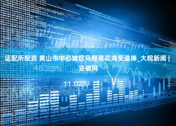 证配所配资 黄山市中心城区马鞭草花海受追捧_大皖新闻 | 安徽网