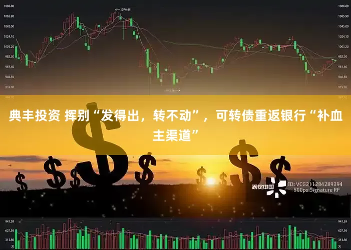 典丰投资 挥别“发得出，转不动”，可转债重返银行“补血主渠道”