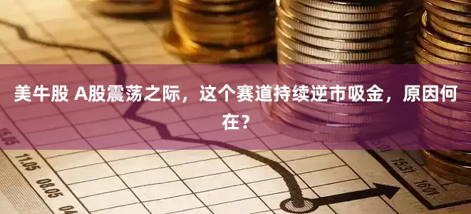 美牛股 A股震荡之际，这个赛道持续逆市吸金，原因何在？