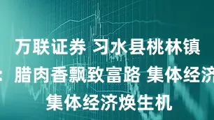 万联证券 习水县桃林镇龙凤村：腊肉香飘致富路 集体经济焕生机