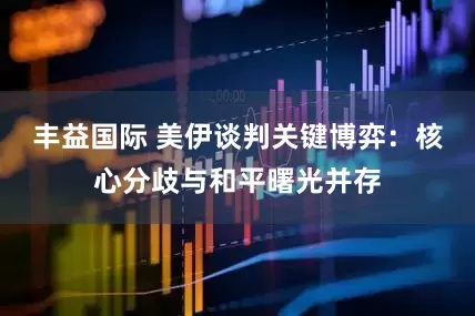 丰益国际 美伊谈判关键博弈：核心分歧与和平曙光并存